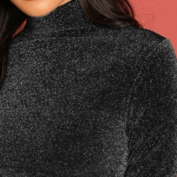 Shein- Sheer Glittery Turtleneck - Picture 3 of 5